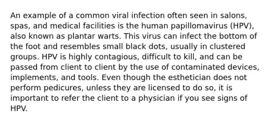 An example of a common viral infection often seen in salons, spas, and medical facilities is the human papillomavirus (HPV), also known as plantar warts. This virus can infect the bottom of the foot and resembles small black dots, usually in clustered groups. HPV is highly contagious, difficult to kill, and can be passed from client to client by the use of contaminated devices, implements, and tools. Even though the esthetician does not perform pedicures, unless they are licensed to do so, it is important to refer the client to a physician if you see signs of HPV.