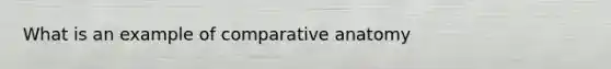 What is an example of comparative anatomy