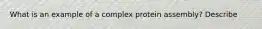 What is an example of a complex protein assembly? Describe