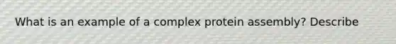 What is an example of a complex protein assembly? Describe