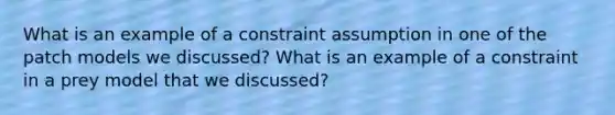 What is an example of a constraint assumption in one of the patch models we discussed? What is an example of a constraint in a prey model that we discussed?