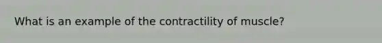 What is an example of the contractility of muscle?