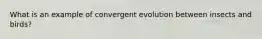 What is an example of convergent evolution between insects and birds?
