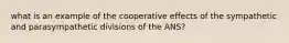 what is an example of the cooperative effects of the sympathetic and parasympathetic divisions of the ANS?