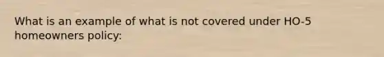 What is an example of what is not covered under HO-5 homeowners policy: