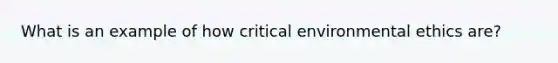 What is an example of how critical environmental ethics are?