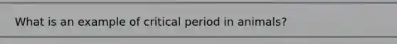 What is an example of critical period in animals?