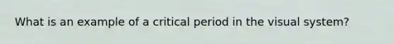 What is an example of a critical period in the visual system?