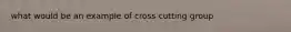 what would be an example of cross cutting group