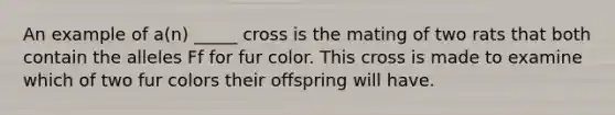 An example of a(n) _____ cross is the mating of two rats that both contain the alleles Ff for fur color. This cross is made to examine which of two fur colors their offspring will have.