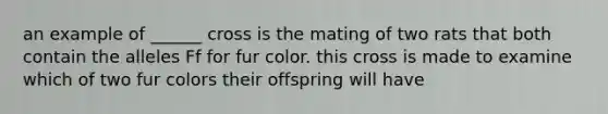 an example of ______ cross is the mating of two rats that both contain the alleles Ff for fur color. this cross is made to examine which of two fur colors their offspring will have