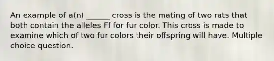 An example of a(n) ______ cross is the mating of two rats that both contain the alleles Ff for fur color. This cross is made to examine which of two fur colors their offspring will have. Multiple choice question.