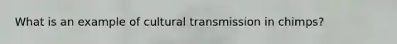 What is an example of cultural transmission in chimps?