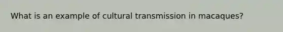 What is an example of cultural transmission in macaques?