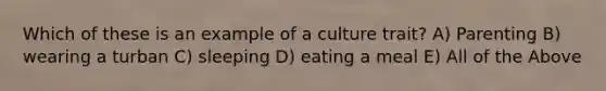 Which of these is an example of a culture trait? A) Parenting B) wearing a turban C) sleeping D) eating a meal E) All of the Above