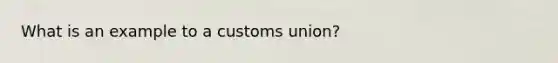 What is an example to a customs union?