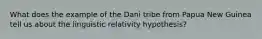 What does the example of the Dani tribe from Papua New Guinea tell us about the linguistic relativity hypothesis?