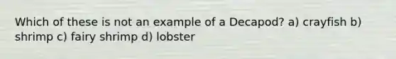 Which of these is not an example of a Decapod? a) crayfish b) shrimp c) fairy shrimp d) lobster