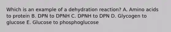 Which is an example of a dehydration reaction? A. Amino acids to protein B. DPN to DPNH C. DPNH to DPN D. Glycogen to glucose E. Glucose to phosphoglucose