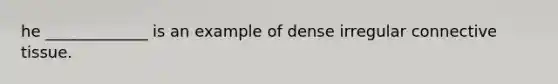 he _____________ is an example of dense irregular connective tissue.