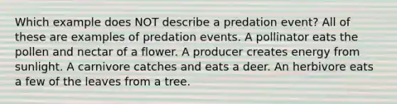 Which example does NOT describe a predation event? All of these are examples of predation events. A pollinator eats the pollen and nectar of a flower. A producer creates energy from sunlight. A carnivore catches and eats a deer. An herbivore eats a few of the leaves from a tree.