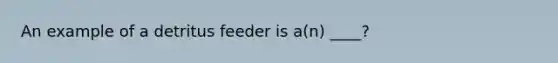 An example of a detritus feeder is a(n) ____?