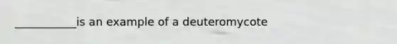 ___________is an example of a deuteromycote