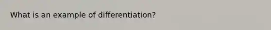 What is an example of differentiation?