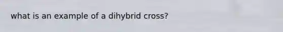 what is an example of a dihybrid cross?