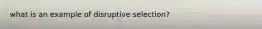 what is an example of disruptive selection?