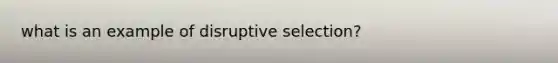 what is an example of disruptive selection?