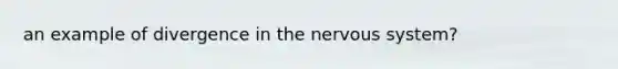 an example of divergence in the nervous system?