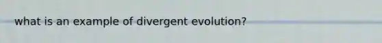 what is an example of divergent evolution?