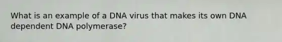 What is an example of a DNA virus that makes its own DNA dependent DNA polymerase?