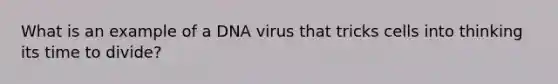 What is an example of a DNA virus that tricks cells into thinking its time to divide?