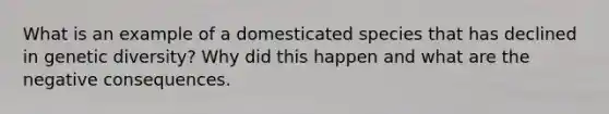 What is an example of a domesticated species that has declined in genetic diversity? Why did this happen and what are the negative consequences.