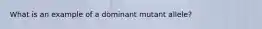 What is an example of a dominant mutant allele?