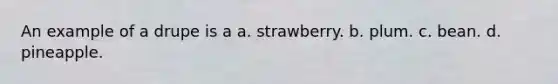 An example of a drupe is a a. strawberry. b. plum. c. bean. d. pineapple.