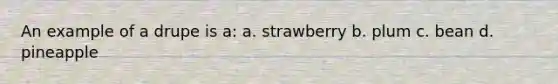 An example of a drupe is a: a. strawberry b. plum c. bean d. pineapple