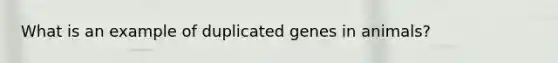 What is an example of duplicated genes in animals?