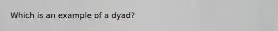 Which is an example of a dyad?