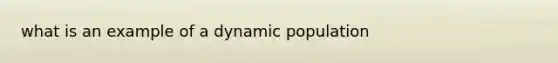 what is an example of a dynamic population