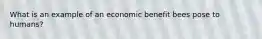 What is an example of an economic benefit bees pose to humans?