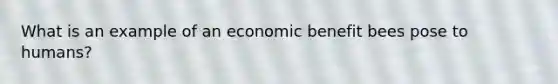 What is an example of an economic benefit bees pose to humans?