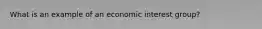What is an example of an economic interest group?