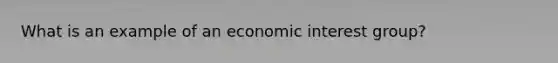 What is an example of an economic interest group?