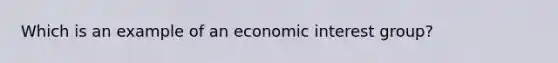 Which is an example of an economic interest group?