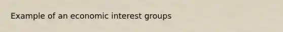 Example of an economic <a href='https://www.questionai.com/knowledge/kiXYXLKJmH-interest-groups' class='anchor-knowledge'>interest groups</a>