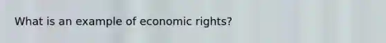 What is an example of economic rights?