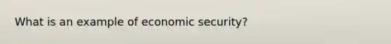 What is an example of economic security?